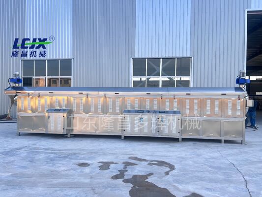 Food Grade Continuous Roasting Machine Stainless Steel Nut Coffee Roaster 380v